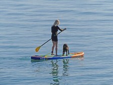 Shea qsx inflatable for sale  PWLLHELI