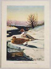 1929 magazine picture for sale  Sterling Heights