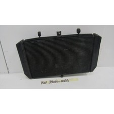 Radiatore acqua water usato  Montecalvo Irpino