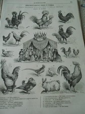 Gravure 1863 expo d'occasion  La Verpillière