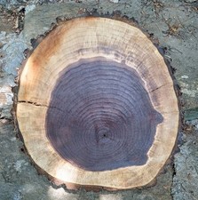 Walnut slice round for sale  West Jefferson