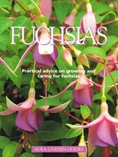 Fuchsias name for sale  ROSSENDALE