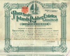 BRASIL PARA ILHAS MARAJO PROPRIEDADES DE BORRACHA certificado de estoque/vínculo 20 SH comprar usado  Enviando para Brazil