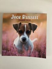 Jack russell puppies for sale  BIRMINGHAM