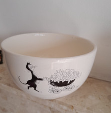 dubout cats for sale  OSSETT