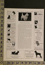 1932 DOG CANINE WEST HIGHLAND WHITE TERRIER FILHOTE CRIADOR FOTO ANÚNCIO RU28 comprar usado  Enviando para Brazil