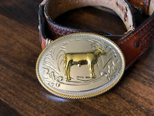 Large oval ffa for sale  Spencer