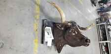 Texas longhorn steer for sale  El Paso