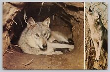 Post card timber for sale  Defuniak Springs