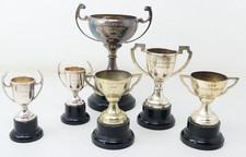 Trophy cups lot for sale  SALISBURY