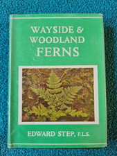 Wayside woodland ferns for sale  STROUD