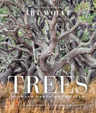 Trees earth heaven for sale  Interlochen