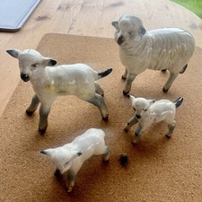 porcelain sheep for sale porcelain sheep for sale OSWESTRY