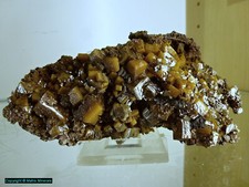 Wulfenit mina ahumada gebraucht kaufen  Weiden