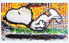 Tom everhart sun for sale  Union City