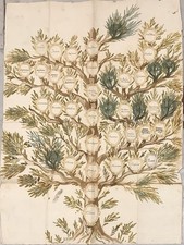 Albero genealogico della usato  Genova