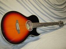 Nashville steel string gebraucht kaufen  Deutschland