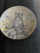 Cat plate 21cms for sale  COLCHESTER