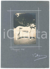 1910 italia cani usato  Milano