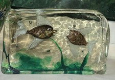 aquarium glass for sale aquarium glass for sale BARNSTAPLE