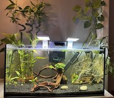 54l aquarium fish for sale  TAMWORTH