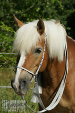 Haflinger western zaum gebraucht kaufen  Rot am See