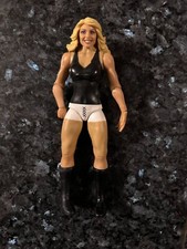 Trish stratus mattel for sale  New Hartford