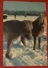 Poster bild pferdeposter gebraucht kaufen  Sondershausen