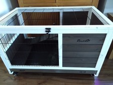 Indoor guinea pig for sale  MAIDSTONE
