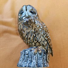 Tawny owl quail for sale  CLITHEROE