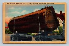Giant log route for sale  Grand Forks