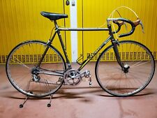 Olmo campagnolo vintage usato  Savona