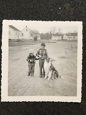 Rough collie dog for sale  Portland
