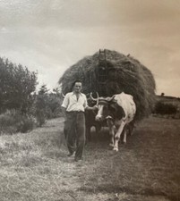 Rural photo aydat d'occasion  Expédié en Belgium