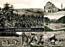 Hirschberg warstein schwimmbad gebraucht kaufen  Deutschland