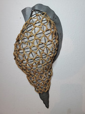 Vintage conch seashell for sale  Edgewater
