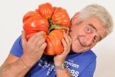 50 SEMI POMODORO GIGANTE - FRUTTI FINO A 4 KG, używany na sprzedaż  Wysyłka do Poland