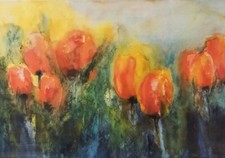 Tulips ute mertens for sale  WHITBY
