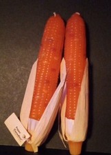 Corn cob candle for sale  Allentown