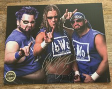 Autógrafo exclusivo PWC BWO- BLUE WORLD ORDER com certificado de autenticidade - WWE WCW ECW, usado comprar usado  Enviando para Brazil