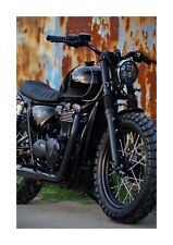 Triumph t100 black for sale  PONTEFRACT