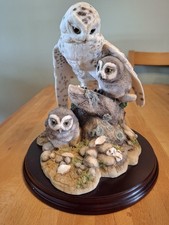 Teviotdale snowy owl for sale Teviotdale snowy owl for sale  ANSTRUTHER