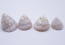 White mother pearl for sale  Lake Forest