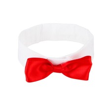 Clip pap perroquet d'occasion  Expédié en France