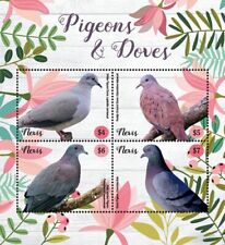 Nevis 2019 pigeons for sale  Brooklyn