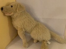 Classics golden retriever for sale  VENTNOR