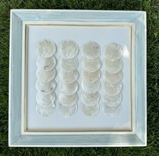 Framed real capiz for sale  Bucyrus