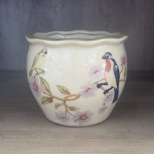 Fish bowl birds for sale  Saint Charles