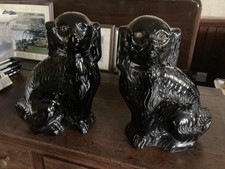pottery spaniel dogs for sale pottery spaniel dogs for sale BLAENAU FFESTINIOG