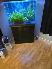 Tropical fish tank for sale  Tampa